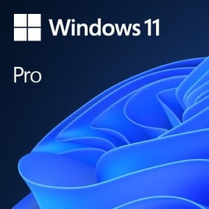 Windows 11 Pro OEM en Físico